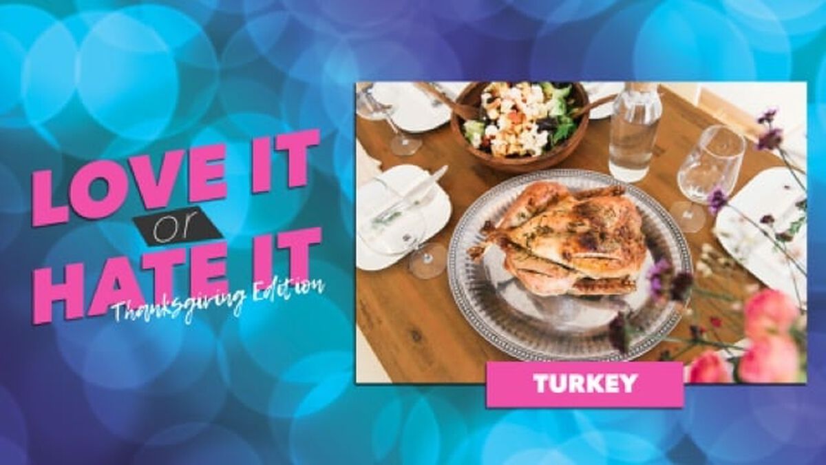 Love it or Hate it Thanksgiving Edition image number null