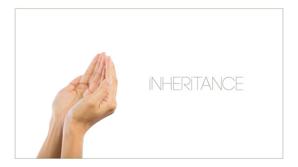 Viva: Inheritance image number null