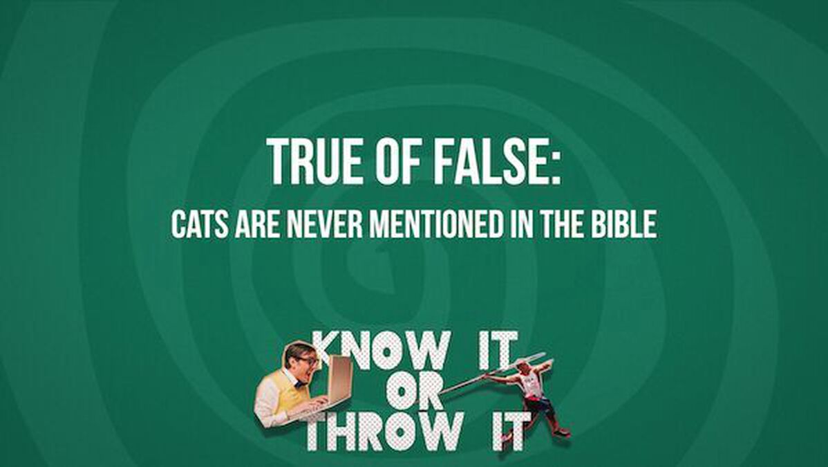 Know It or Throw It image number null