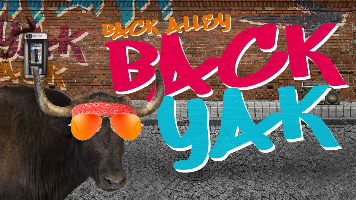 Back Alley Back Yak Youth Group Game image number null