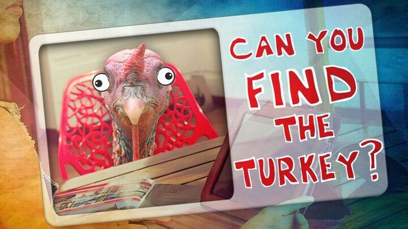 Can You Find the Turkey?
