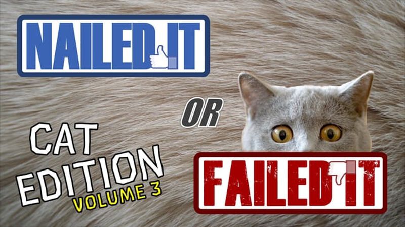 Nailed It or Failed It Cat Edition - Volume 3