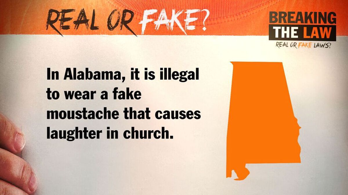 Breaking the Law image number null