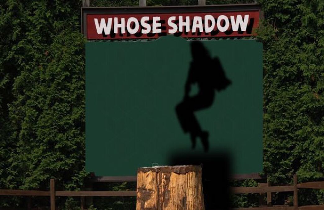 Whose Shadow: Volume 1 image number null