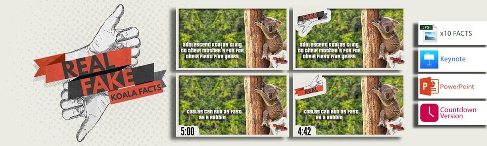 Real/Fake - Koala Facts