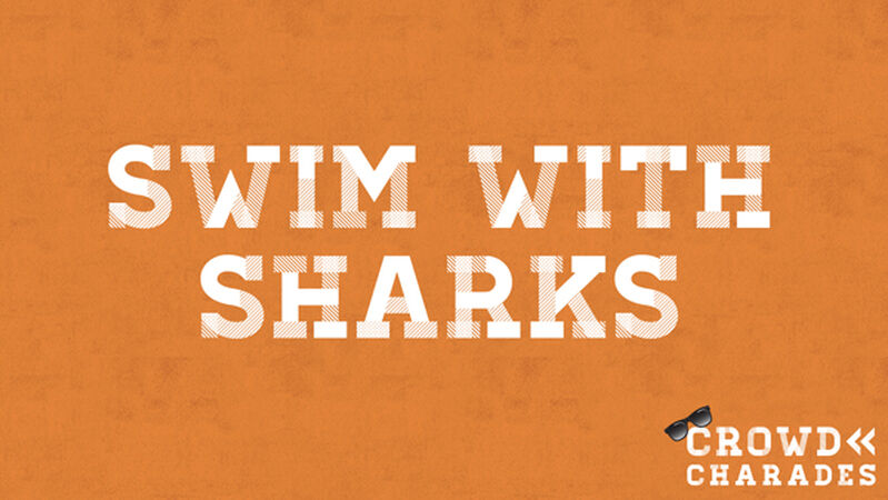 Crowd Charades: Summer Edition