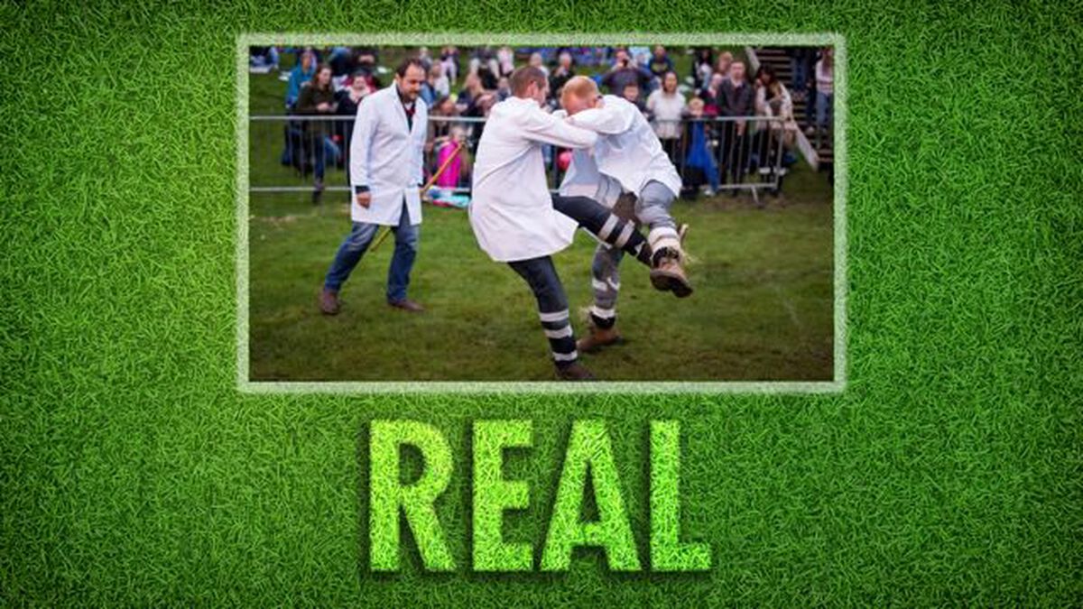 Real or Fake: Sports Edition image number null
