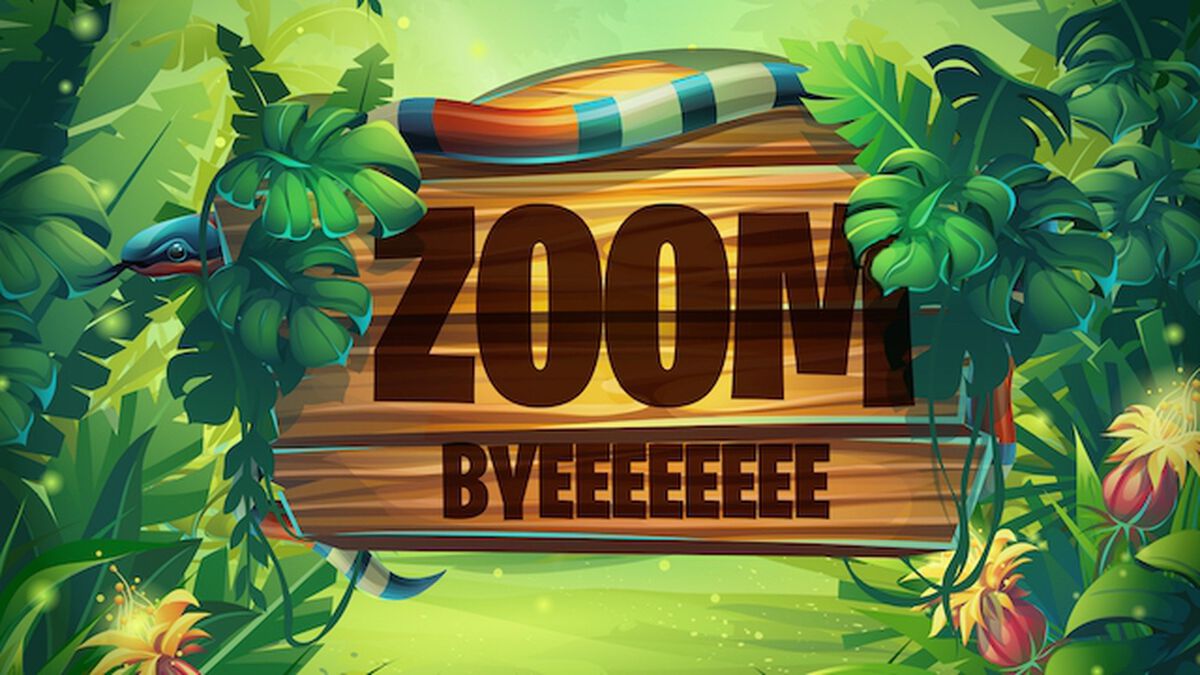 Zoom Byeee image number null