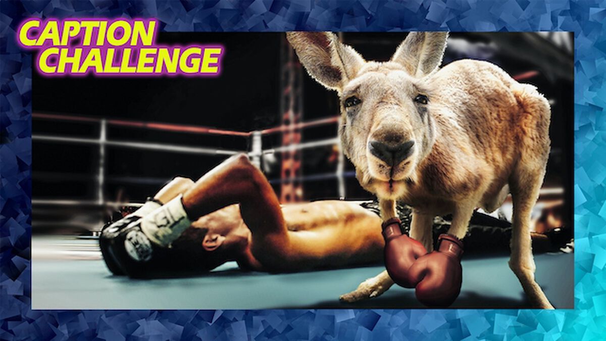 Caption Challenge Vol 2 Instagram and Zoom image number null