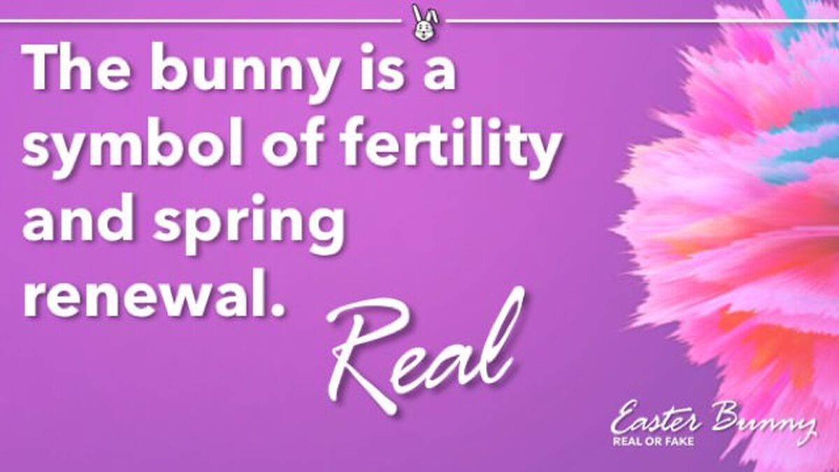 Real or Fake: Easter Bunny Edition image number null