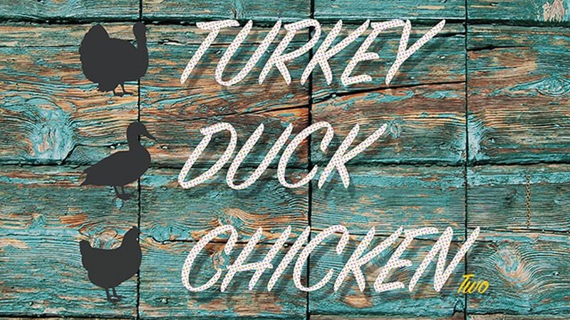 Turkey Duck Chicken Two