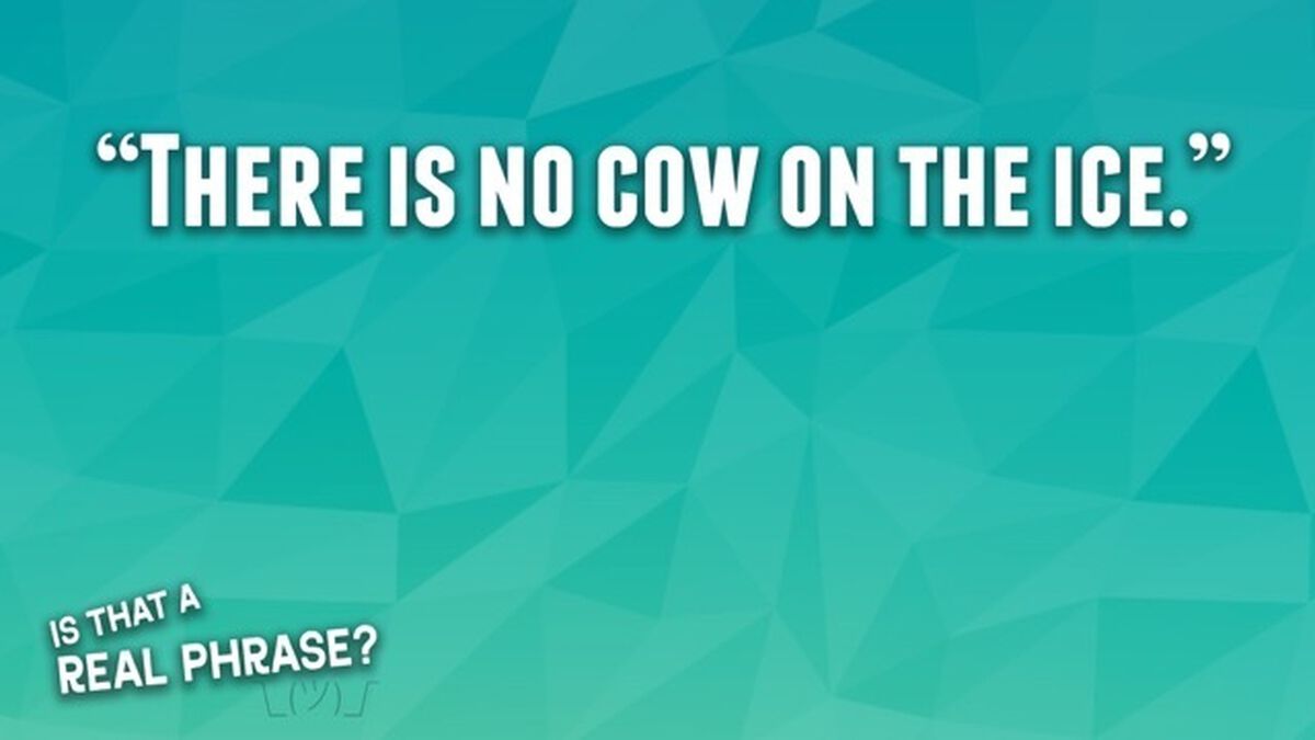 Is That a Real Phrase - Around the World Edition image number null