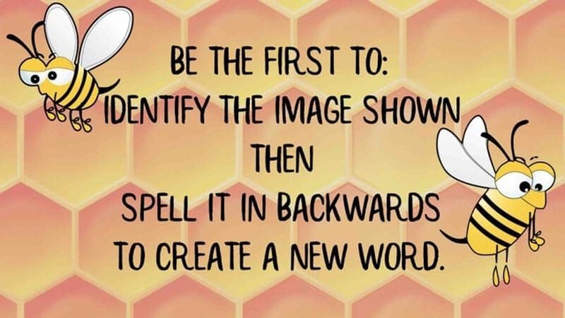 Reverse Spelling Bee Volume 2