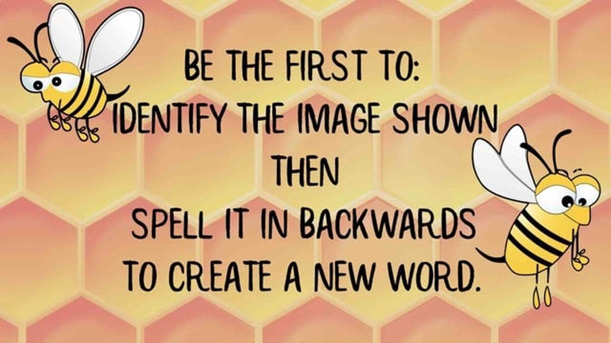 Reverse Spelling Bee Volume 2 image number null