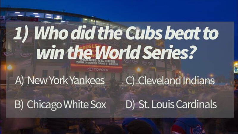 So You Are A Cubs Fan...