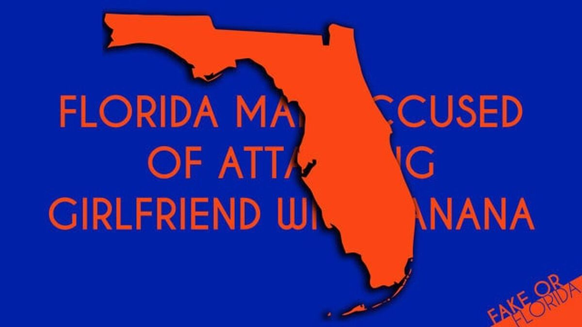 Fake or Florida image number null