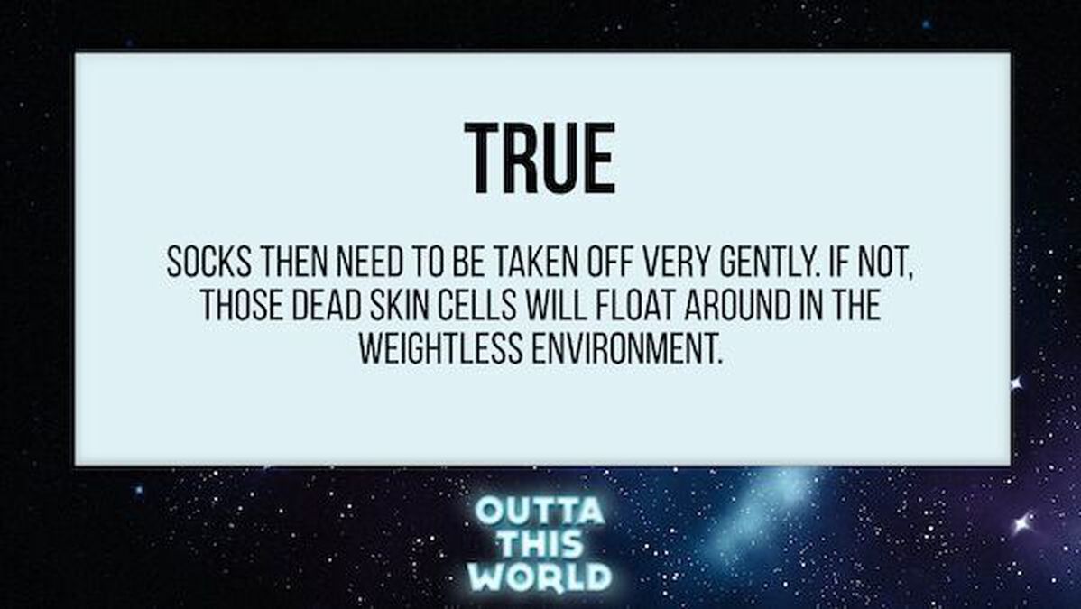 Outta This World image number null