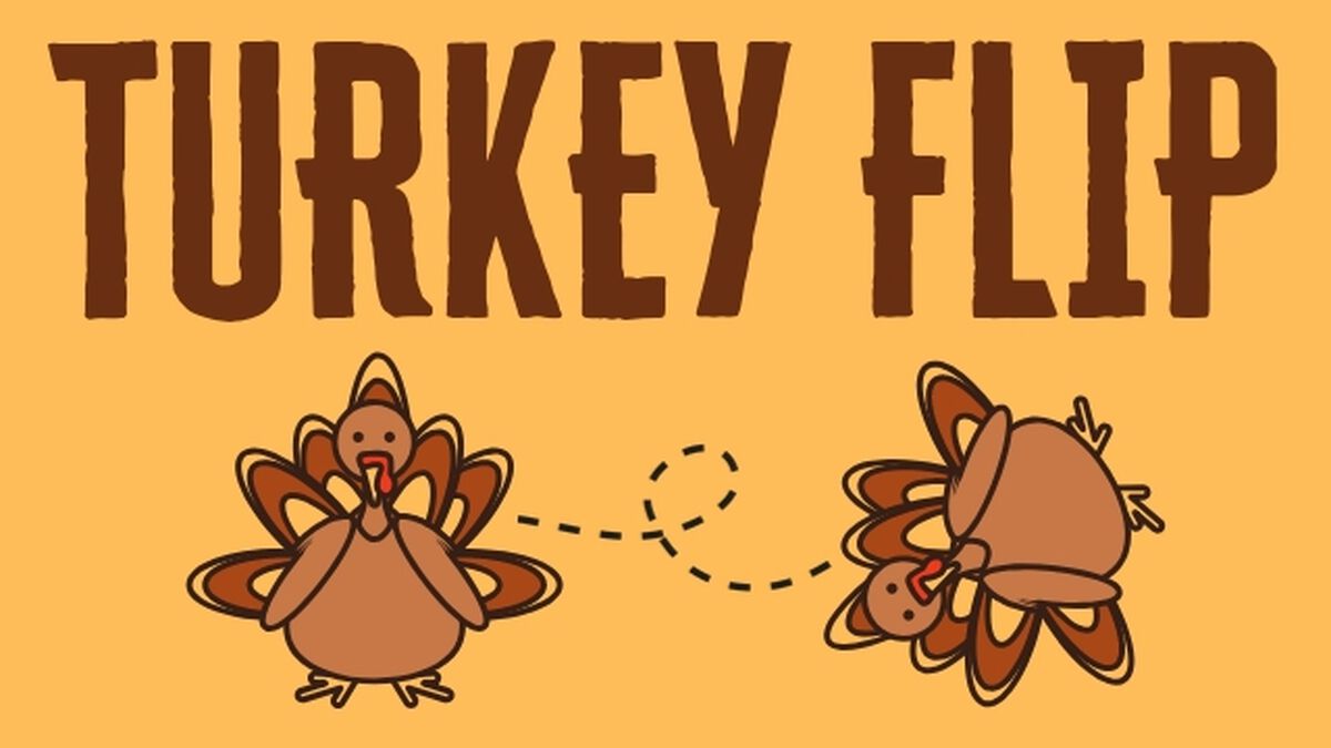 Turkey Flip image number null