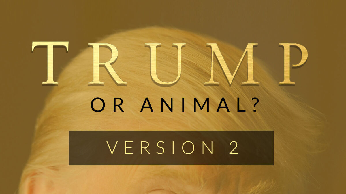 Trump or Animal 2 image number null