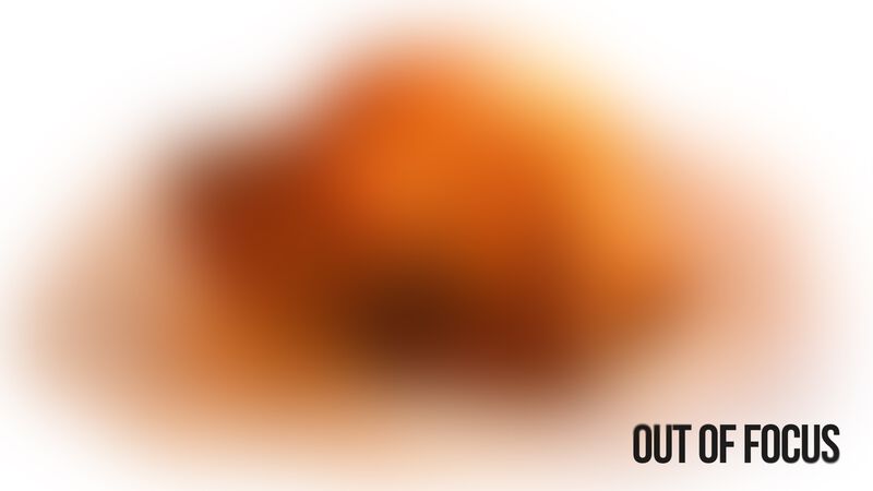 Out of Focus: Thanksgiving Edition