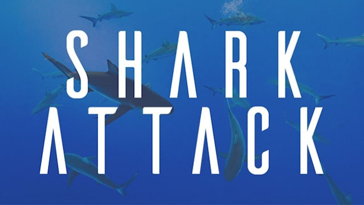 Shark Attack image number null