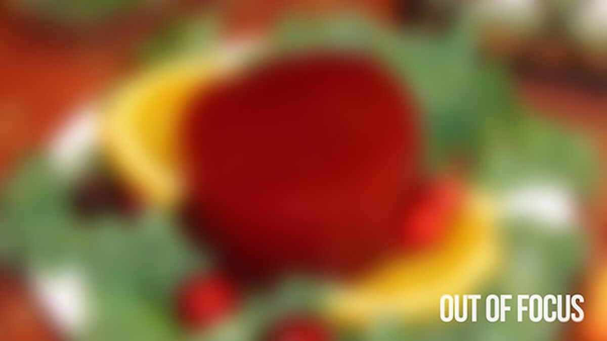 Out of Focus: Thanksgiving Edition image number null