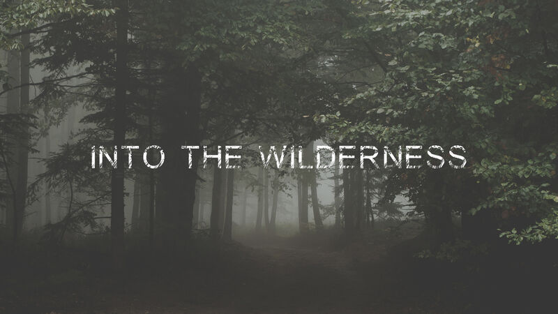 Into the Wilderness