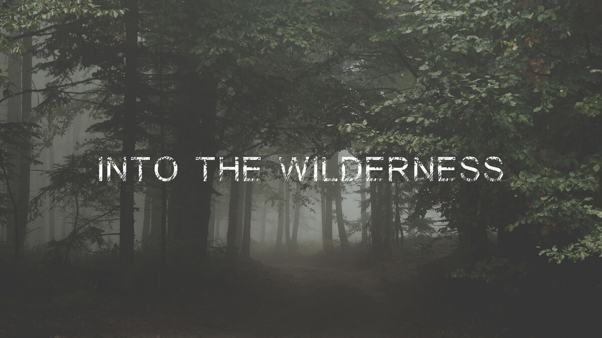 Into the Wilderness image number null