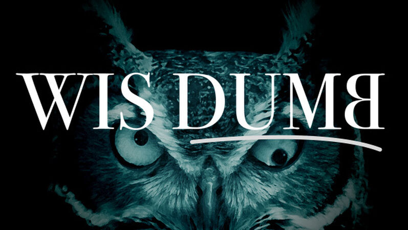 Wisdumb
