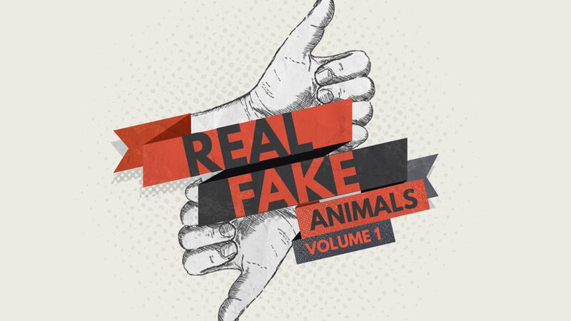 Real/Fake - Animals Vol. 1