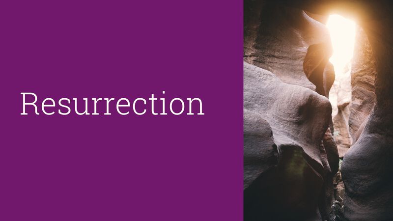 Viva! Resurrection