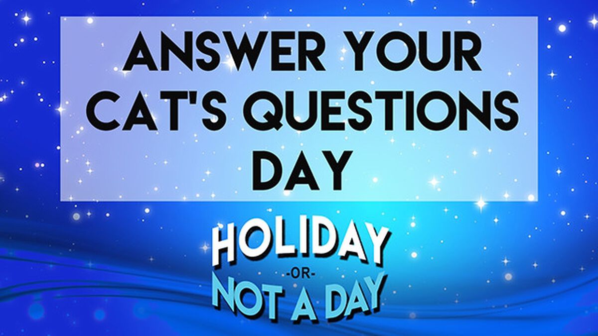 Holiday or Not a Day: January image number null