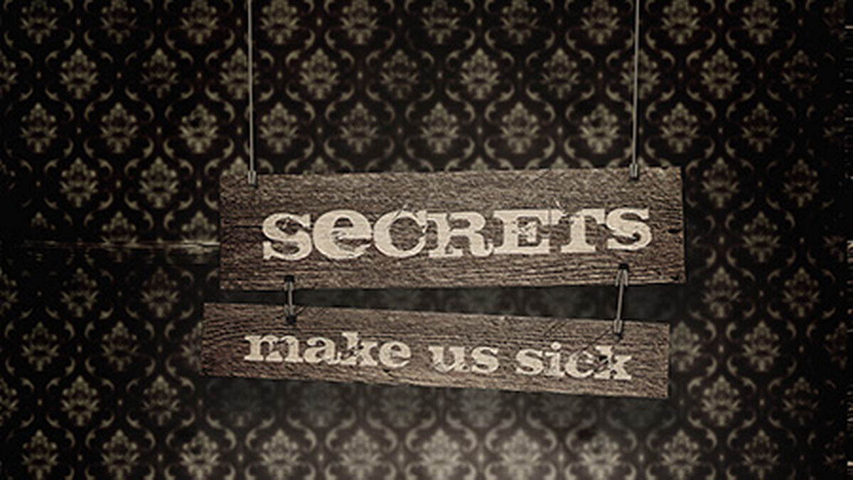 Our Secrets Make Us Sick image number null
