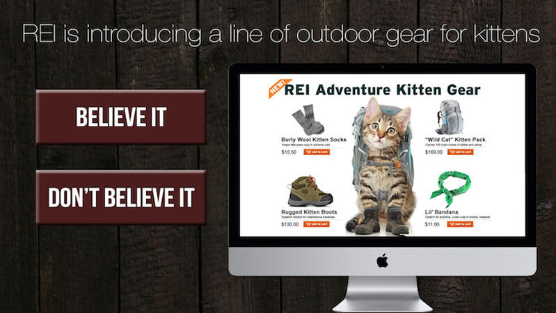 DON'T BELIEVE THE INTERNET