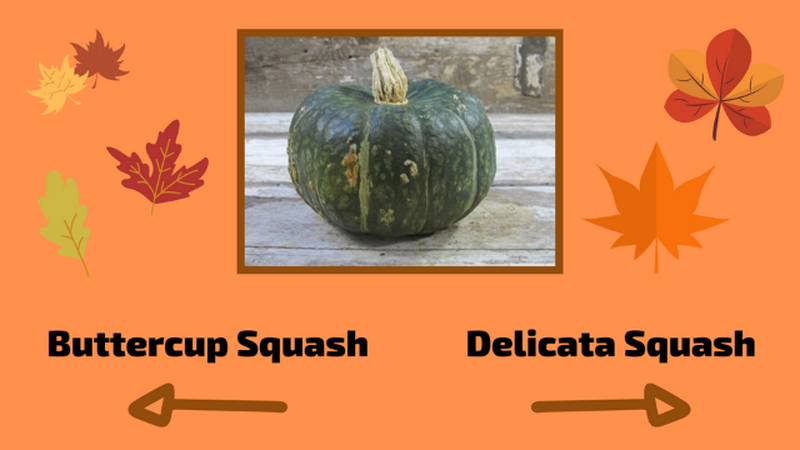 Are You Good with Gourds?