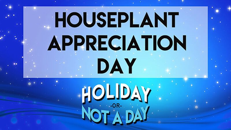 Holiday or Not a Day Bundle