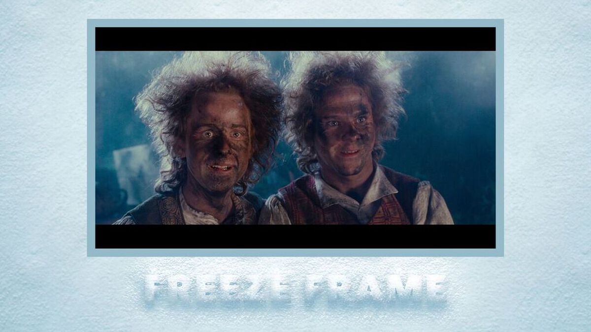 Freeze Frame image number null