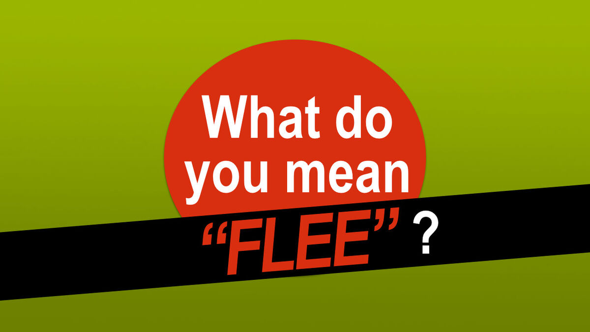 What do you mean "Flee"? image number null
