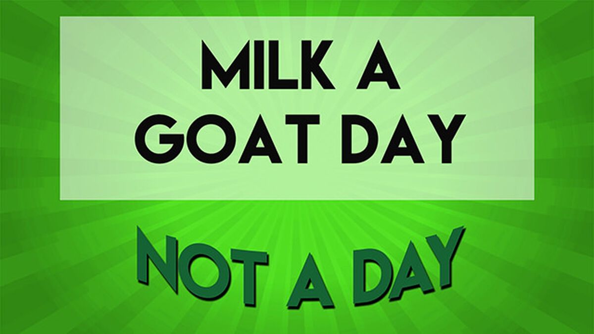 Holiday or Not a Day: March image number null