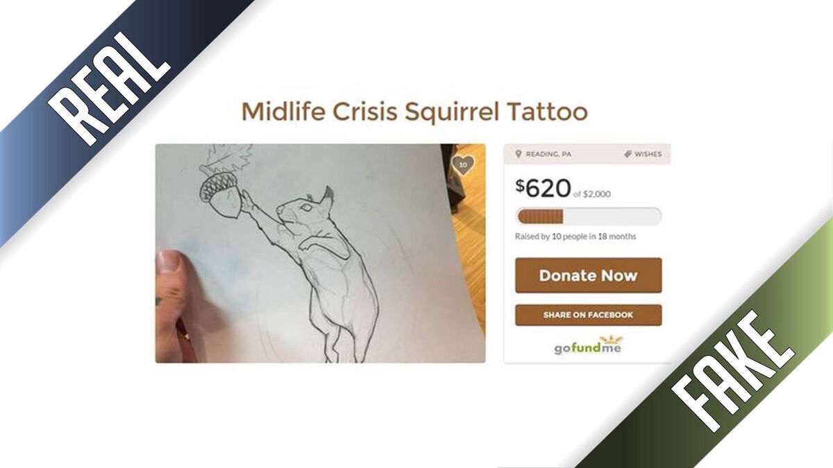 GoFundMe: Real or Fake image number null