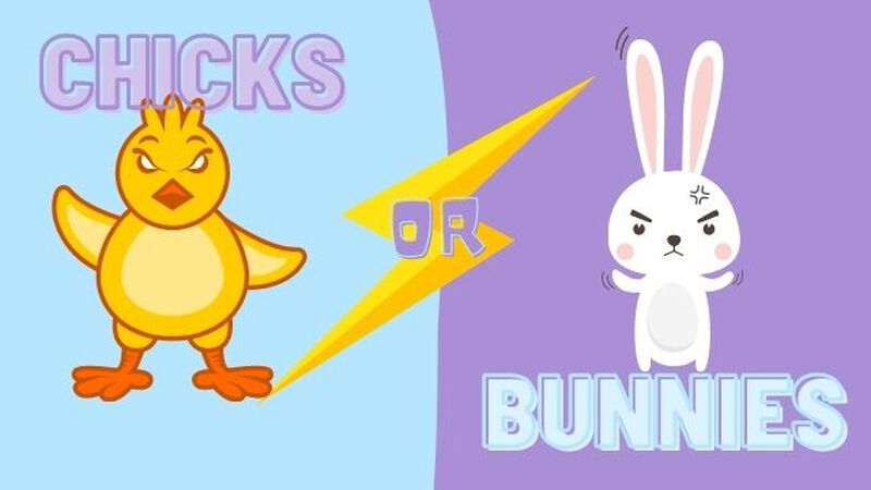Chicks or Bunnies