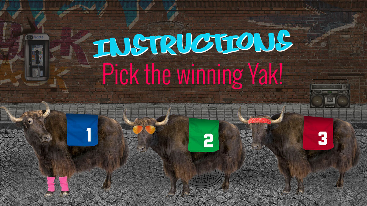 Back Alley Back Yak Youth Group Game image number null