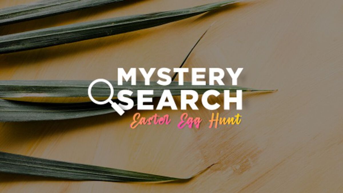 Mystery Search - Easter Egg Hunt image number null