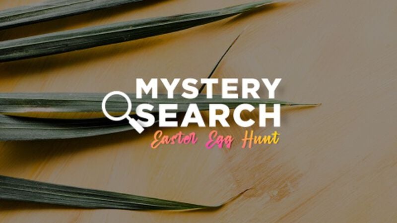 Mystery Search - Easter Egg Hunt