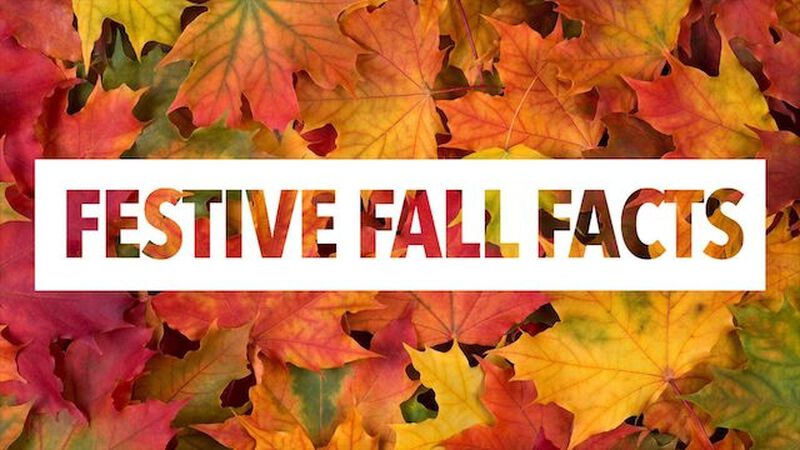 Festive Fall Facts