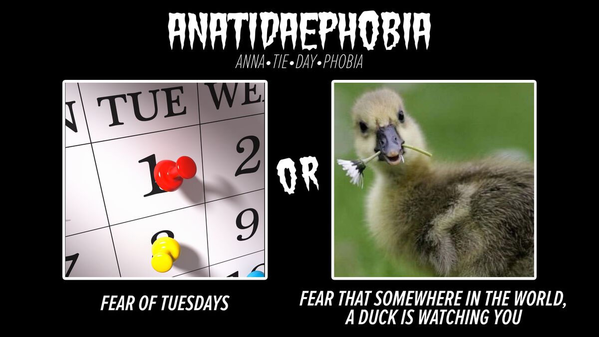 Phobias: What are You Afraid Of? image number null