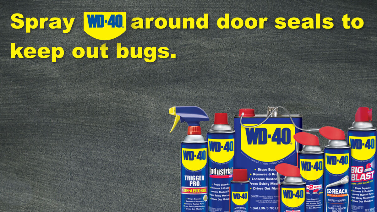The WD40 Game image number null