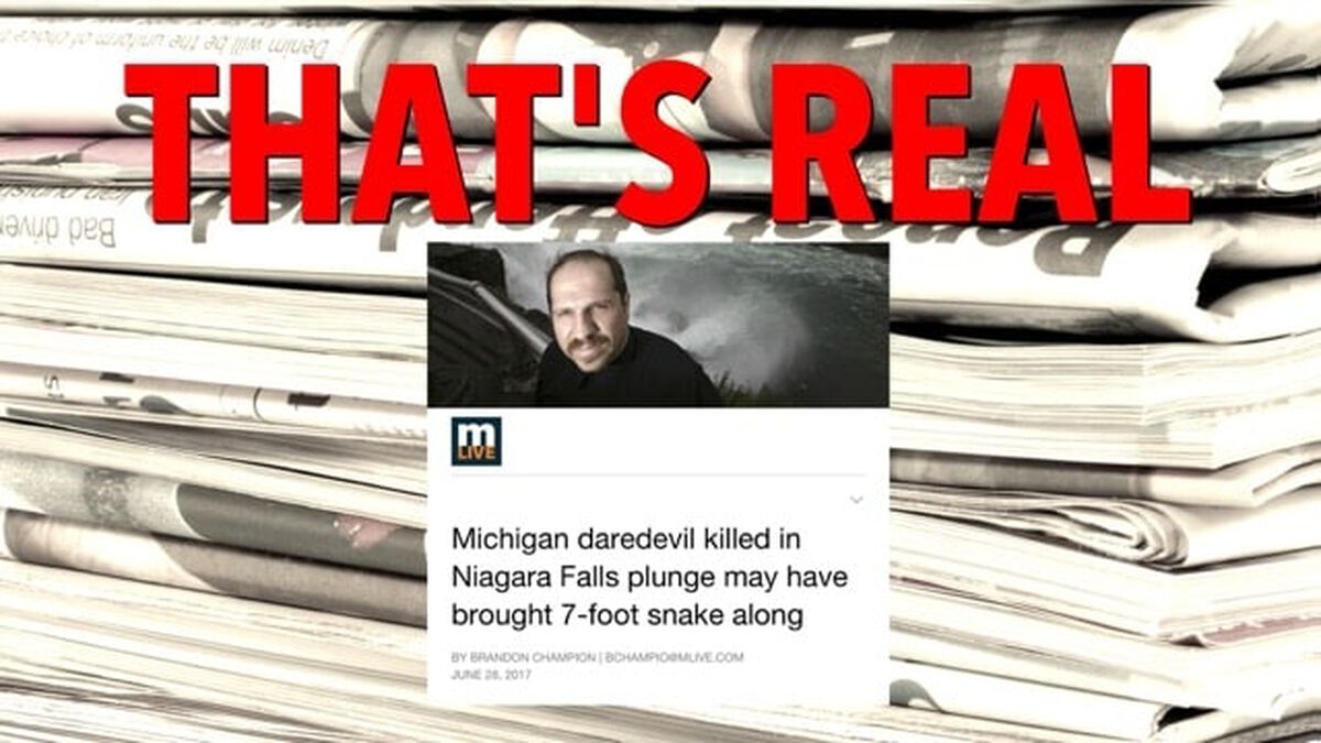 Fake News Third Edition image number null