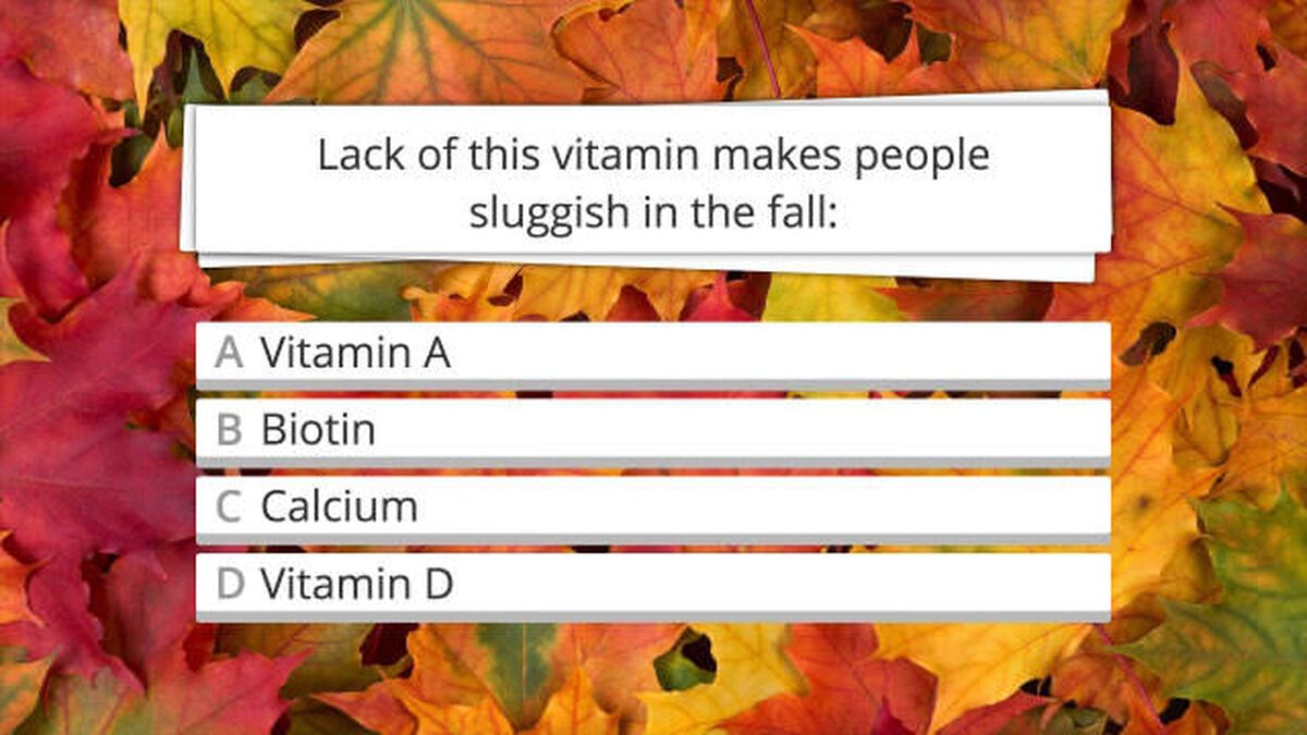 Festive Fall Facts image number null