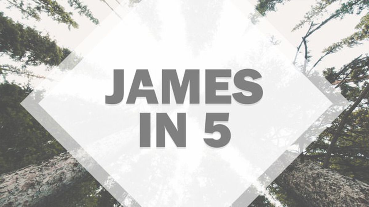 James in 5 image number null